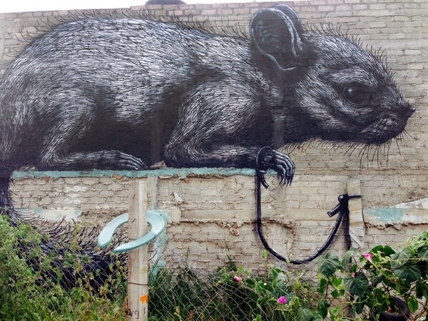 Καινούριος ROA 