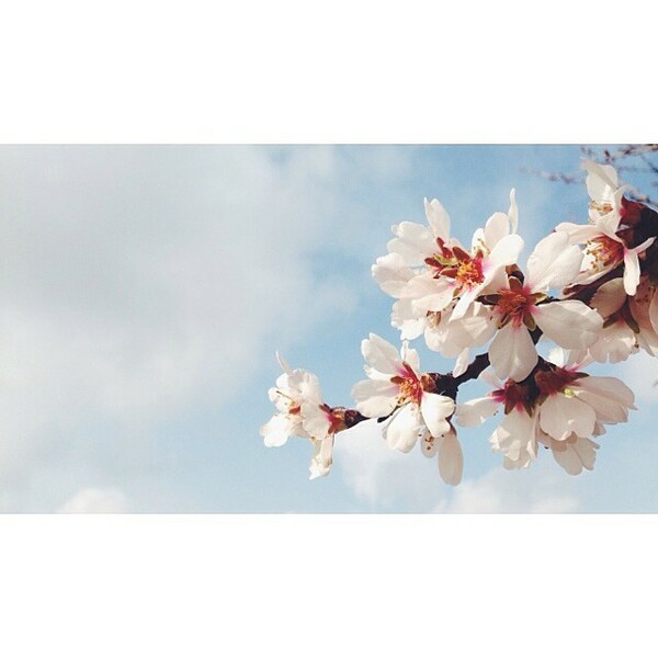 INSTA#LIFO: Παρασκευή 11 Απρίλιου