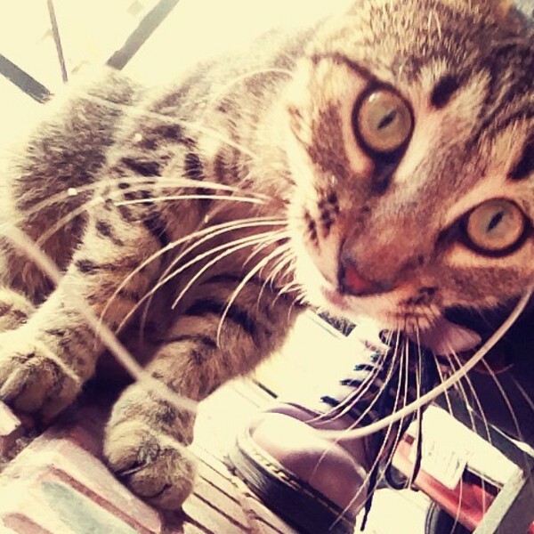 INSTA#LIFO: Τρίτη 15 Απριλίου