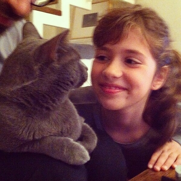 #LIFOPETS (35): Αυτά είναι τα κατοικίδιά μας