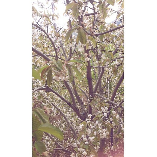 INSTA#LIFO: Παρασκευή 18 Απριλίου