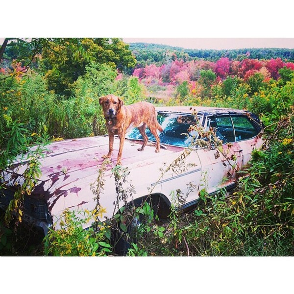 Στον επίγειο παράδεισο του Ryan McGinley