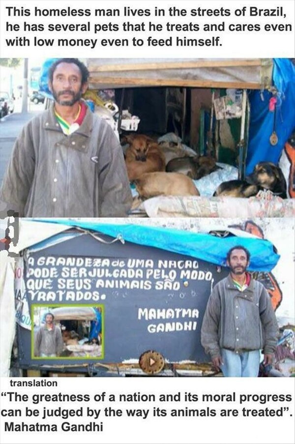 Άλλοι 13 άνθρωποι που κάνουν υπέροχα πράγματα για τα ζώα