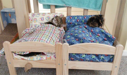 Πήραμε κι εμείς κρεβατάκι IKEA για τις γάτες (επειδή το είδαμε σε πρόσφατο ποστ μας)