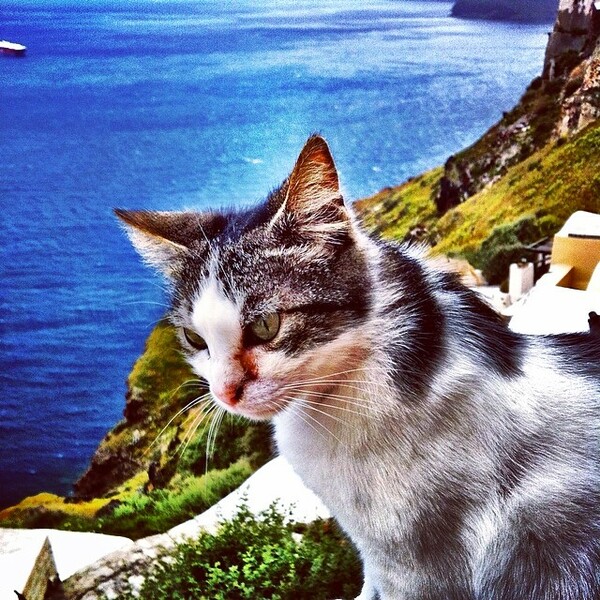 INSTA#LIFO: Παρασκευή 18 Απριλίου