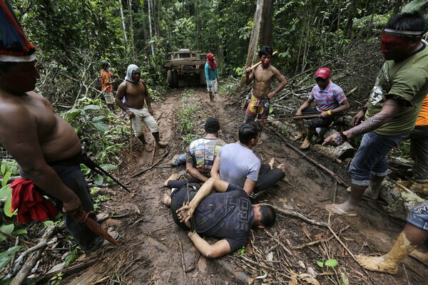 Ο πόλεμος των δέντρων στον Αμαζόνιο