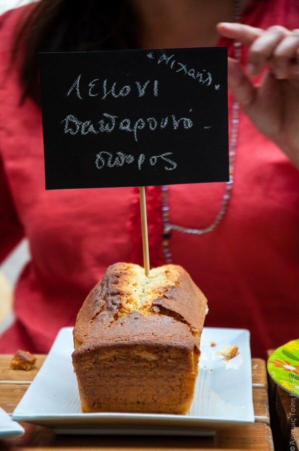 Το φαγητό μπορεί! Κέικ για καλό σκοπό στην αυλή του six d.o.g.s.