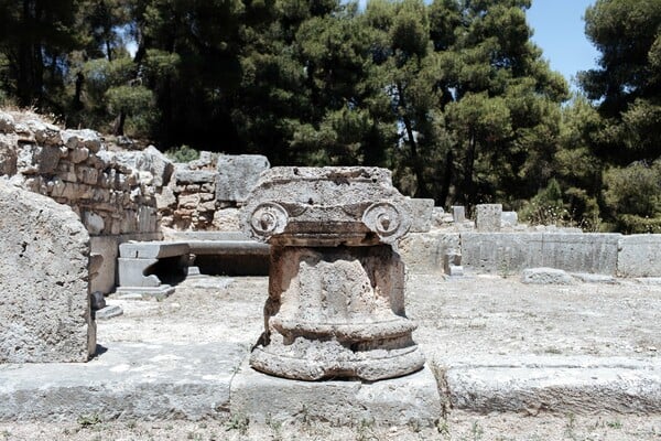 Αμφιάρειο: το δασωμένο ιερό ενός αρχαίου θεού και μάντη