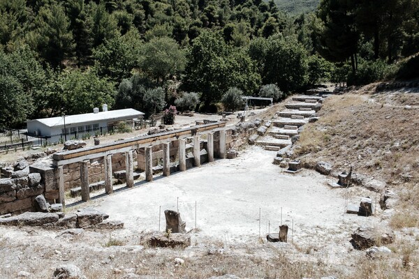 Αμφιάρειο: το δασωμένο ιερό ενός αρχαίου θεού και μάντη