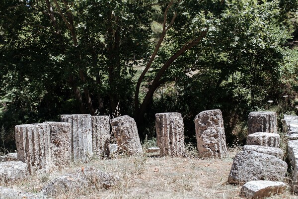 Αμφιάρειο: το δασωμένο ιερό ενός αρχαίου θεού και μάντη