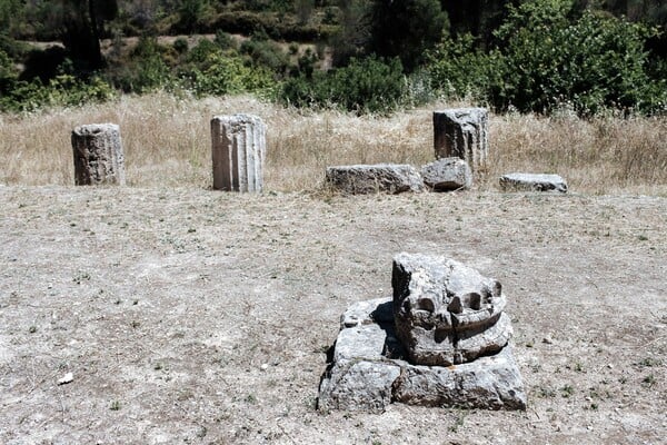 Αμφιάρειο: το δασωμένο ιερό ενός αρχαίου θεού και μάντη