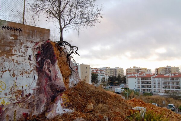 Τα ποιητικά murals του Borondo