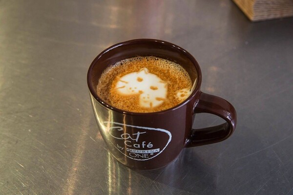 Αυτό είναι το πρώτο καφέ με γάτες στις ΗΠΑ!