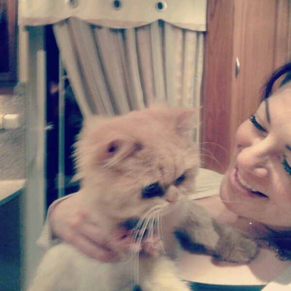 #LIFOPETS (33): Αυτά είναι τα κατοικίδιά μας