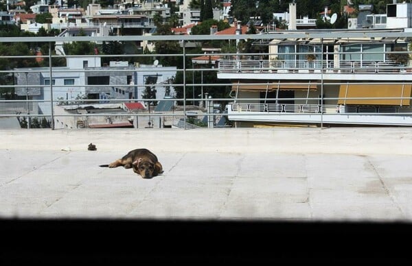 Η Αθήνα που βλέπουμε απ' το παράθυρο