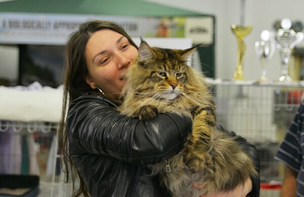 Μια ολόκληρη μέρα στο πρώτο παγκόσμιο Cat Show της Ελλάδας