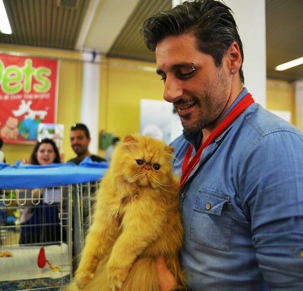 Μια ολόκληρη μέρα στο πρώτο παγκόσμιο Cat Show της Ελλάδας