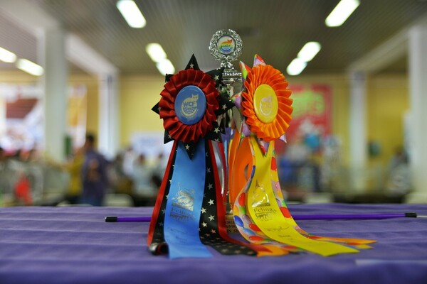 Μια ολόκληρη μέρα στο πρώτο παγκόσμιο Cat Show της Ελλάδας