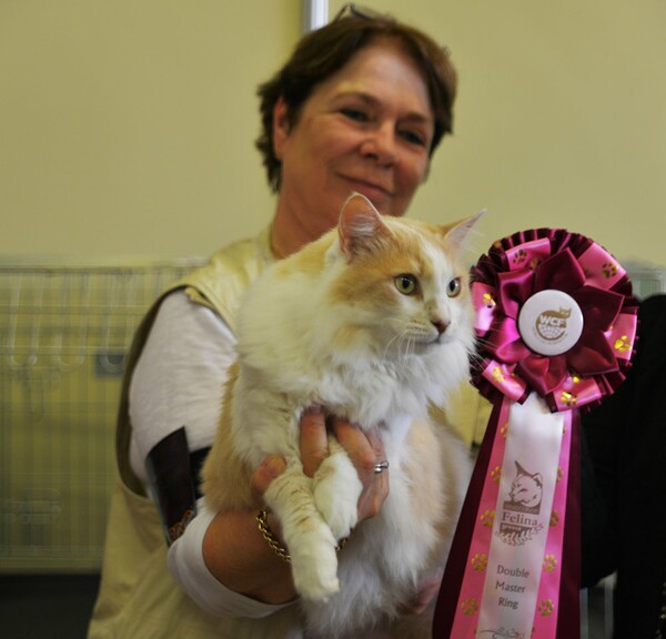 Μια ολόκληρη μέρα στο πρώτο παγκόσμιο Cat Show της Ελλάδας