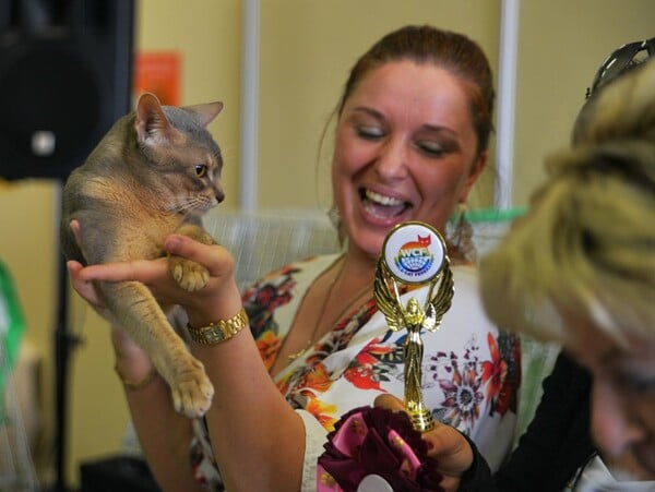 Μια ολόκληρη μέρα στο πρώτο παγκόσμιο Cat Show της Ελλάδας