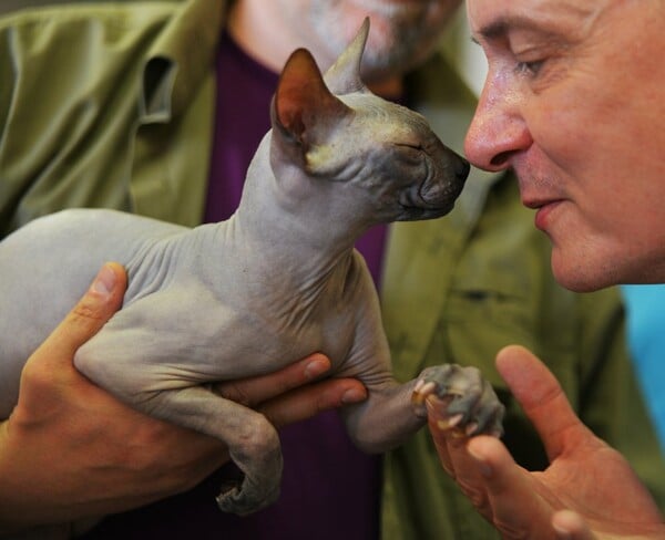 Μια ολόκληρη μέρα στο πρώτο παγκόσμιο Cat Show της Ελλάδας