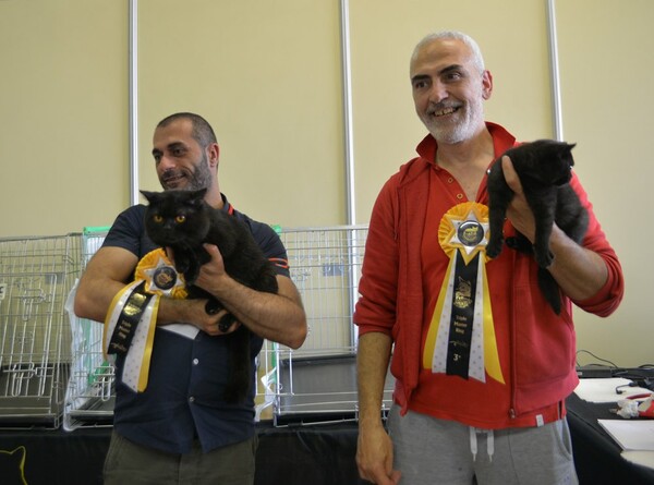 Μια ολόκληρη μέρα στο πρώτο παγκόσμιο Cat Show της Ελλάδας