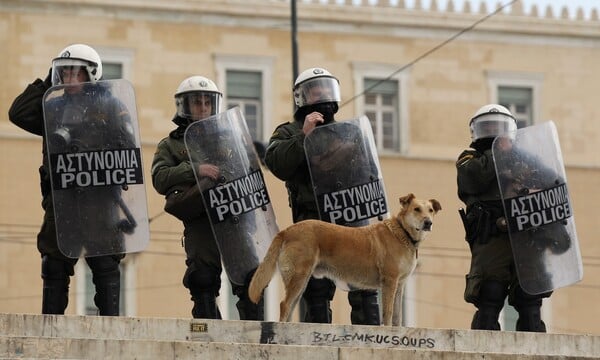 Η ζωή και ο θάνατος του Λουκάνικου, του σκύλου σύμβολο