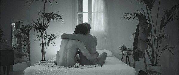 Fawns