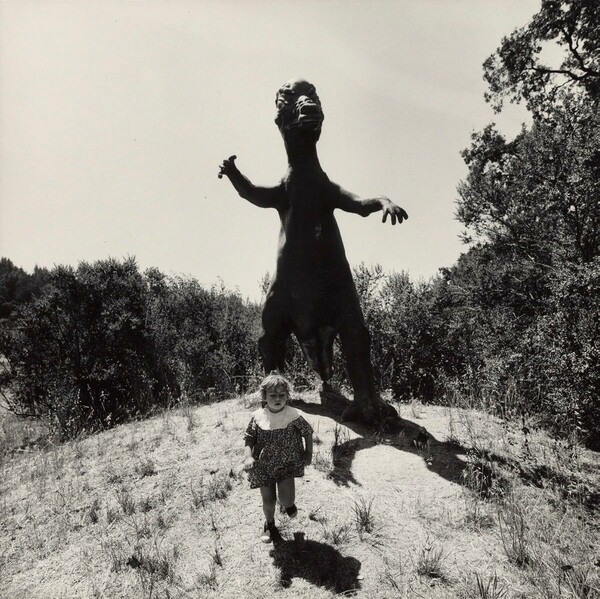 O Arthur Tress ήταν ένας "Dream Collector"