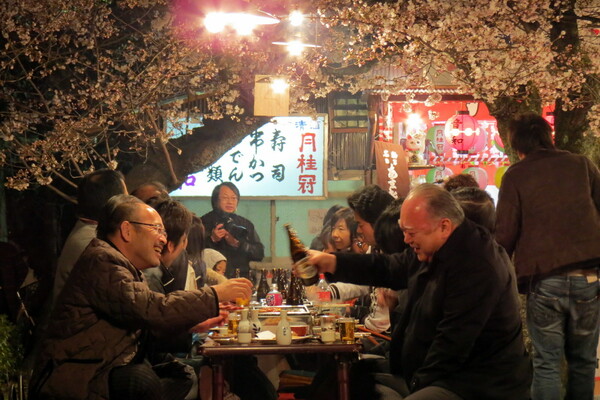 Hanami: η αποθέωση της Άνοιξης