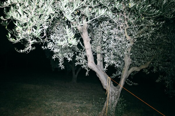 Η εκδρομή