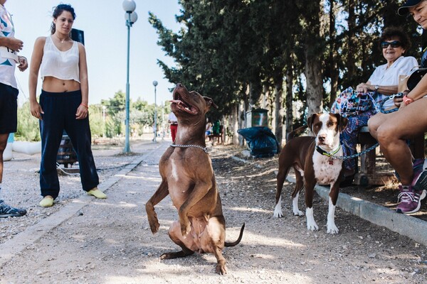 Οι Αθηναίοι σε μαραθώνιο με τους σκύλους τους 