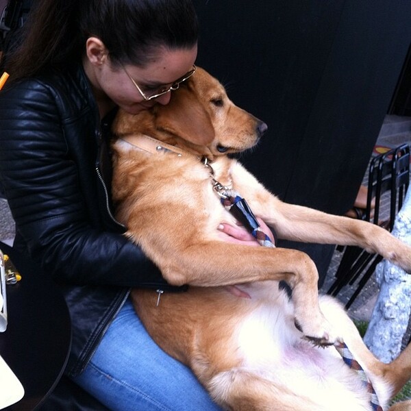 #LIFOPETS (33): Αυτά είναι τα κατοικίδιά μας