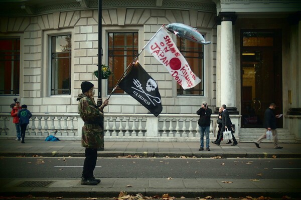 Κάποιοι νοιάζονται για τη σφαγή των δελφινιών