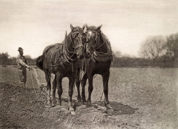 Peter- Henry Emerson | Η αγνή, αγροτική Αγγλία ενός σπουδαίου νατουραλιστή 