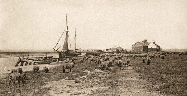 Peter- Henry Emerson | Η αγνή, αγροτική Αγγλία ενός σπουδαίου νατουραλιστή 