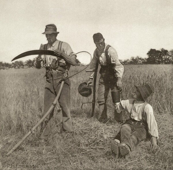 Peter- Henry Emerson | Η αγνή, αγροτική Αγγλία ενός σπουδαίου νατουραλιστή