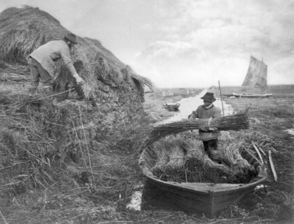 Peter- Henry Emerson | Η αγνή, αγροτική Αγγλία ενός σπουδαίου νατουραλιστή