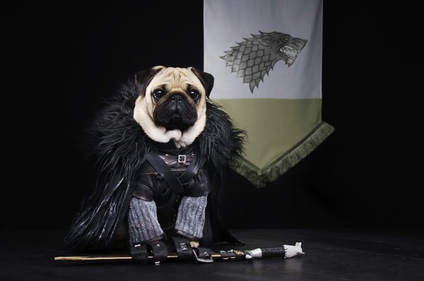 Game of Thrones με τρία αξιολάτρευτα παγκ