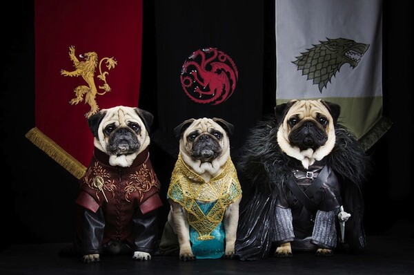 Game of Thrones με τρία αξιολάτρευτα παγκ