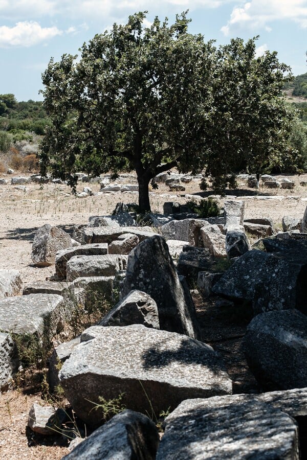 Στη μαγική σκιά ενός αρχαίου ραμνούντα