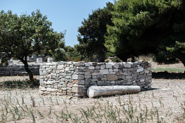 Στη μαγική σκιά ενός αρχαίου ραμνούντα