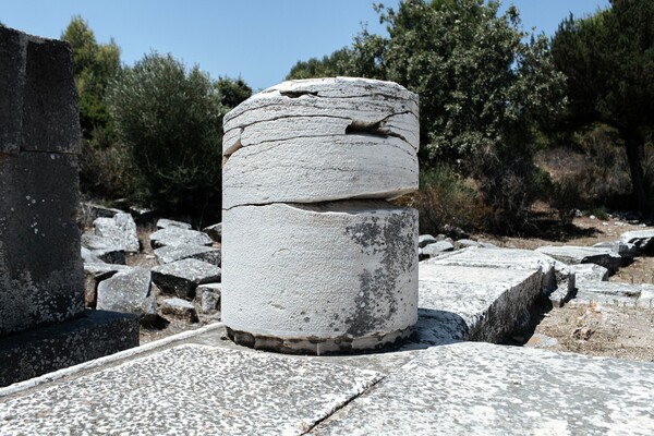 Στη μαγική σκιά ενός αρχαίου ραμνούντα