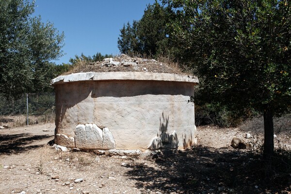 Στη μαγική σκιά ενός αρχαίου ραμνούντα