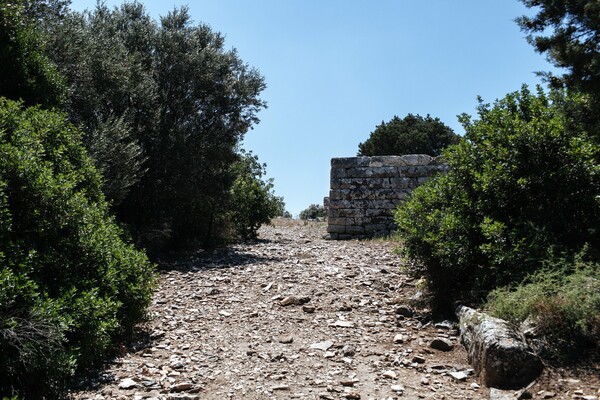 Στη μαγική σκιά ενός αρχαίου ραμνούντα