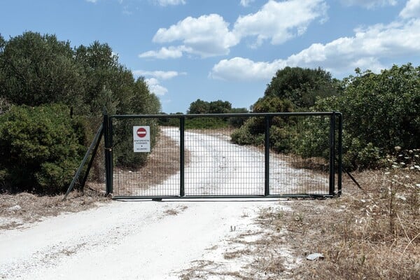 Στη μαγική σκιά ενός αρχαίου ραμνούντα