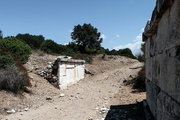 Στη μαγική σκιά ενός αρχαίου ραμνούντα