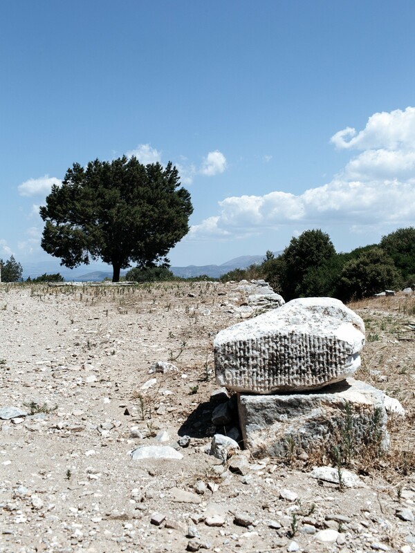 Στη μαγική σκιά ενός αρχαίου ραμνούντα