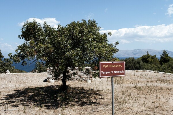 Στη μαγική σκιά ενός αρχαίου ραμνούντα