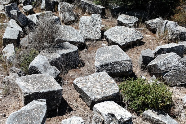 Στη μαγική σκιά ενός αρχαίου ραμνούντα